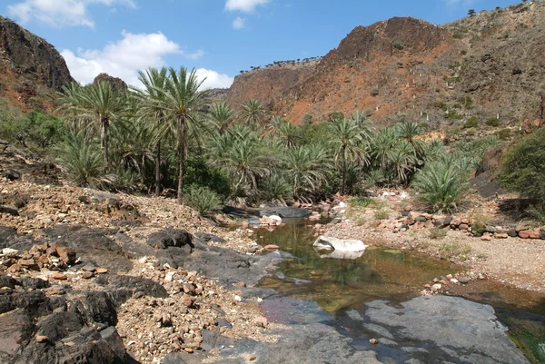 Wadi Daerhu río de la isla de Socotra —  Fotos de Stock