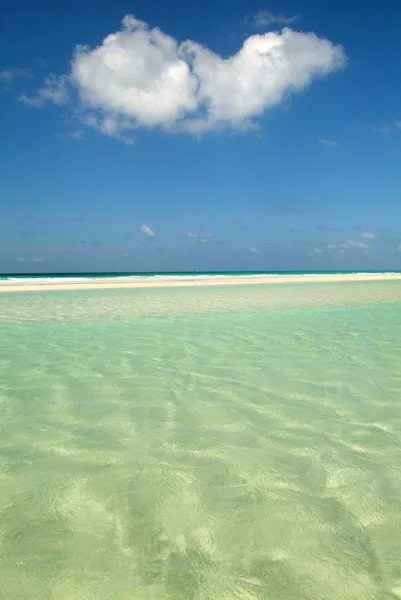 Playa de Qalansiya en la isla de Socotra, Yemen — Foto de Stock