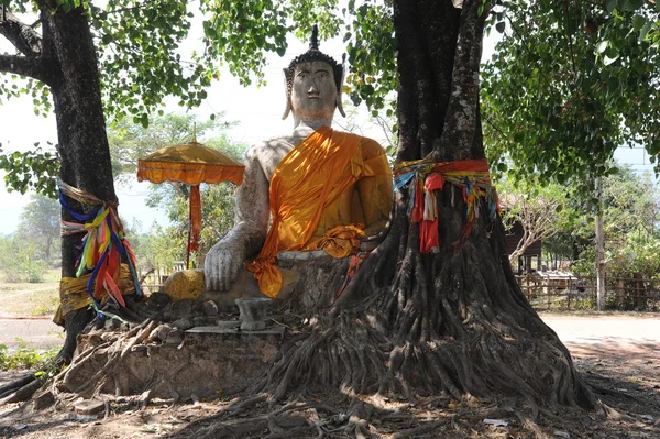 Buddha unter zwei Bäumen in Champasak, Laos — Stockfoto