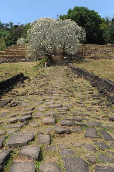 Khmer archaeological site of Wat Phu Champasak, Laos — Stock Photo, Image