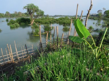 Mekong Nehri, don khon Laos