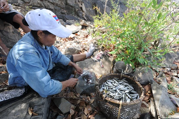 Rybaków w mekong rzeka na wyspie don khon, laos — Zdjęcie stockowe