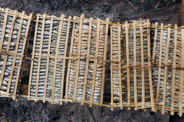 ラオスのメコン川の魚の乾燥 — ストック写真