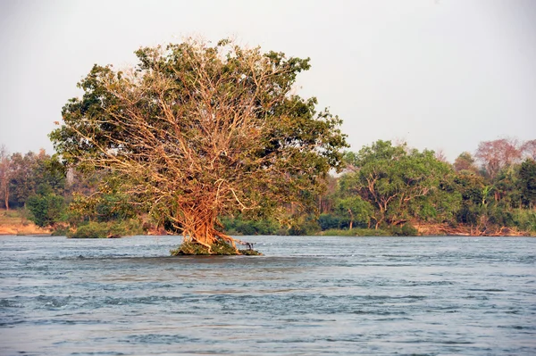 Fiume Mekong a Don Khong in Laos — Foto Stock