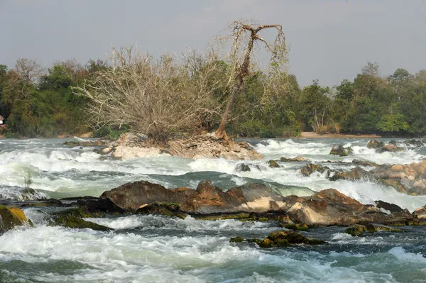 Don phapheng valt op de mekong rivier in laos — Stockfoto