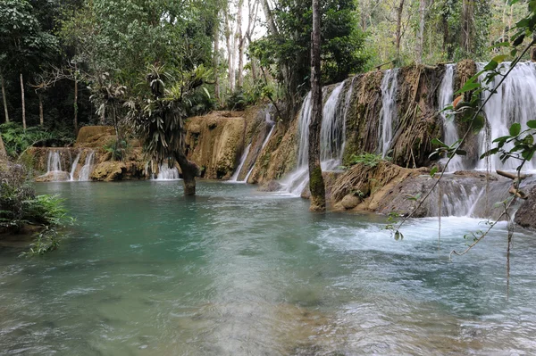 Waterval in het regenwoud in de buurt van luang prabang in laos — Stockfoto