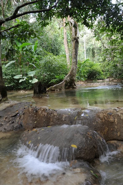 Vattenfall i regnskog nära luang prabang i laos — Stockfoto