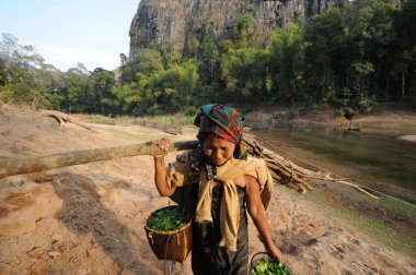 Farmer at the village of Ban Kong Lo in Laos clipart