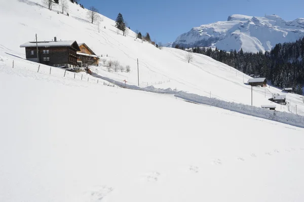 Горный пейзаж в Энгельберге на швейцарских Альпах — стоковое фото