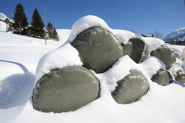 Paesaggio montano a Engelberg sulle Alpi svizzere — Foto Stock