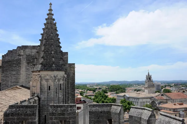 Střecha papežský palác v Avignonu, Francie — Stock fotografie