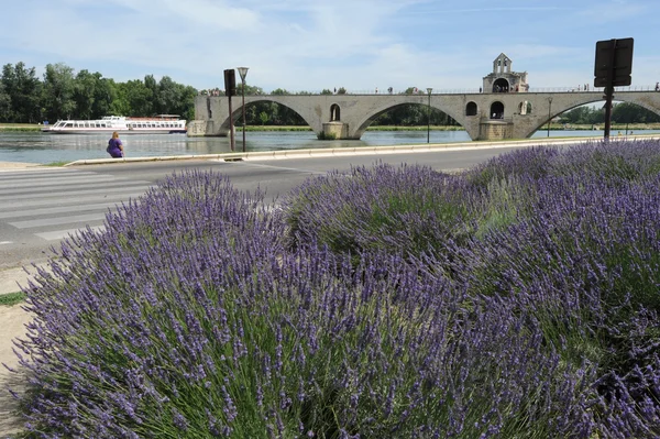 Le pont de St-Benezet sur Avignon sur la France — Photo