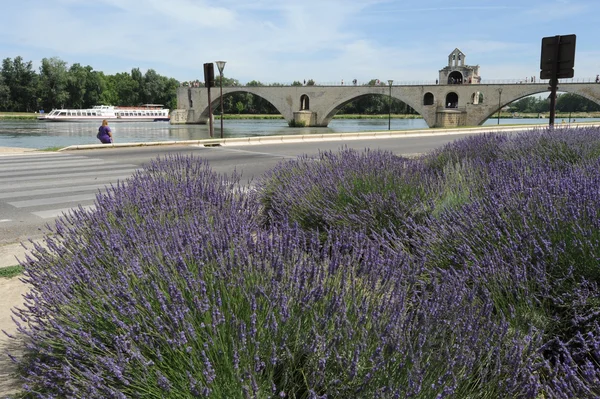 De brug van st-benezet op avignon op france — Stockfoto