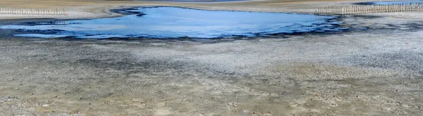 Paesaggio della Camargue in Francia — Foto Stock