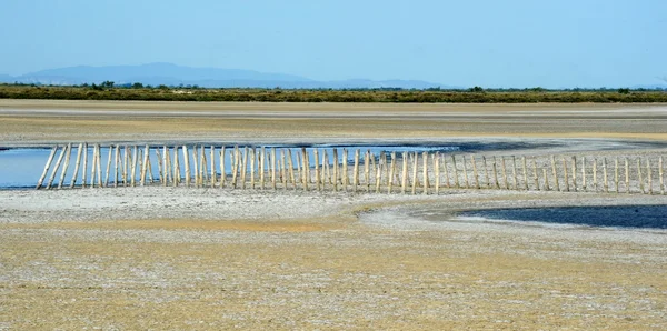 Landscape of Camargue on France — Stock Photo, Image