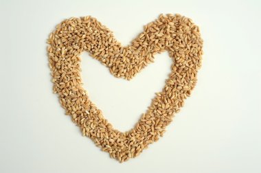 Vejetaryen Gıda için yazıldığını