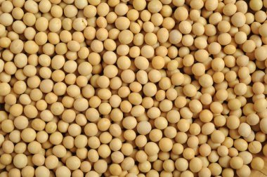 soya fasulyesi için vejetaryen ayak