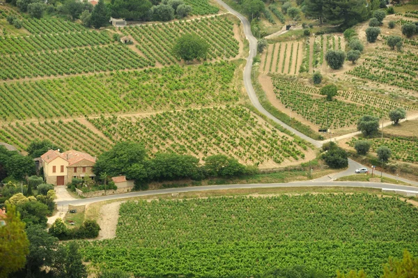 Paisagem rural em Le Castellet, França — Fotografia de Stock