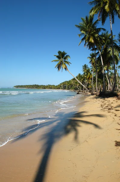 République dominicaine, Las Galeras playa Bonita — Photo