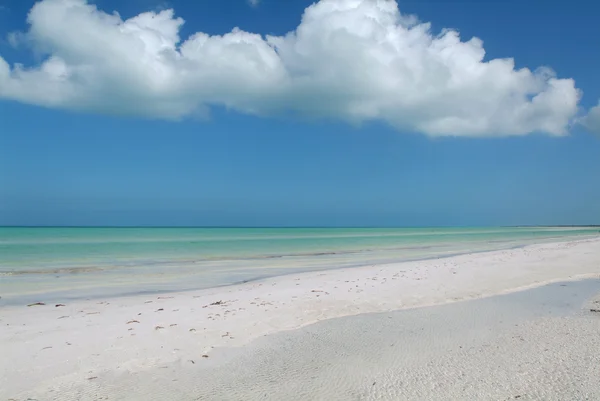 Praia virgem na ilha Holbox no México — Fotografia de Stock