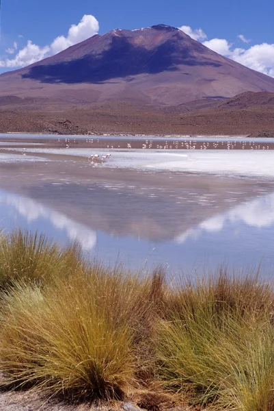 自然景观，美丽的博利维亚山风景 — 图库照片