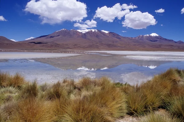 Natuurlijk landschap, mooi uitzicht op bolivia berg — Stockfoto