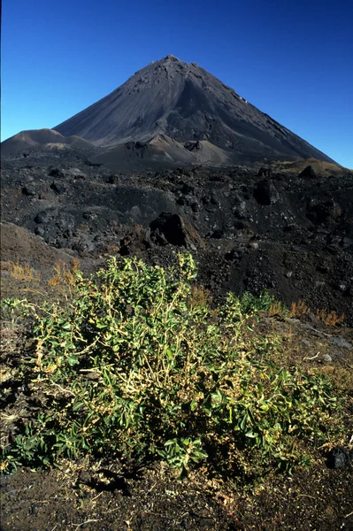 Pico de Fogo, mantello verde, Africa — Foto Stock