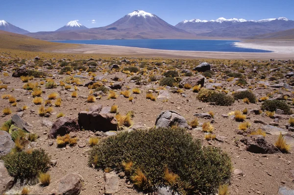 Природний ландшафт, гарний вид на гору Болівія — стокове фото