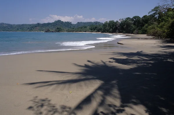 Plaj manuel antonio Milli Parkı Kosta Rika üzerinde — Stok fotoğraf