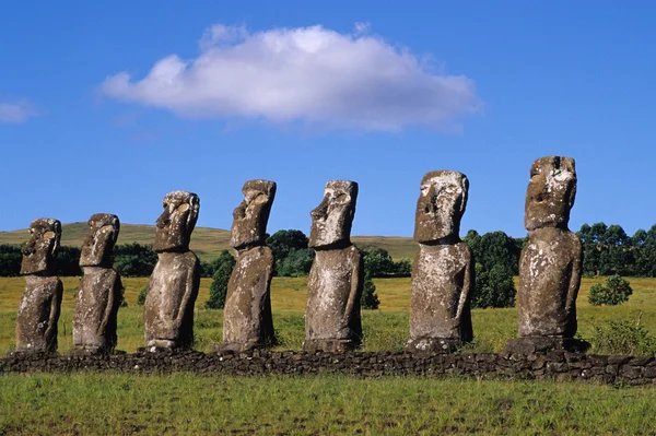 De prachtige moai-beelden van Paaseiland in de Zuid-pacific — Stockfoto