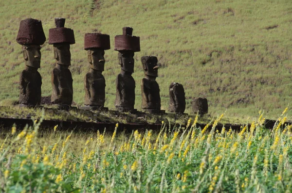 Las hermosas estatuas Moai de la Isla de Pascua en el Pacífico Sur —  Fotos de Stock
