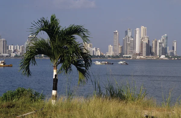パナマ シティー ビュー — ストック写真