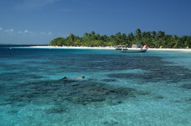 fötr şapka, kumsalda morrocoy Milli Parkı, venezuela