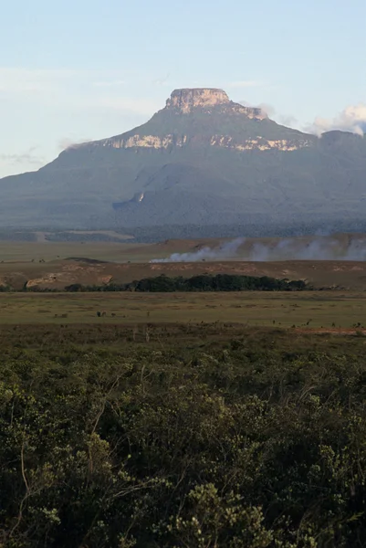 Gran sabana, hochland guayana, venezuela, südamerika — Stockfoto