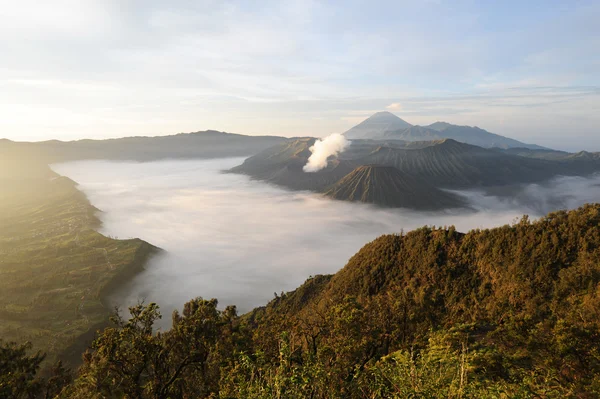 Bromo Mountain in Tengger Semeru National Park, East Java, Indonesia — Stock Photo, Image