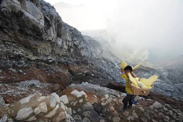 Working on a sulfur nuggets atop a volcano in Indonesia — Stock Photo, Image