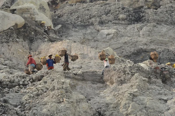 Working on a sulfur nuggets atop a volcano in Indonesia — Stock Photo, Image