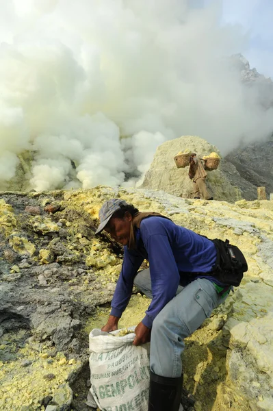 Working on a sulfur nuggets atop a volcano in Indonesia — Stock Photo, Image
