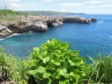 Hint Okyanusu kıyısında bali