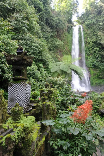 Gitgit 瀑布，巴厘岛 — 图库照片