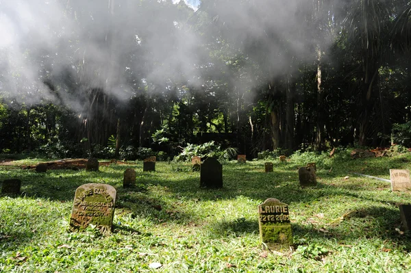Begraafplaats, ubud, bali, Indonesië — Stockfoto