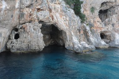 İtalya Sardinya Adası cormorani Mağarası