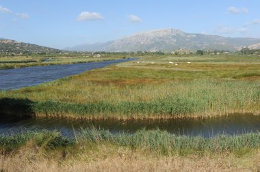 nehir kenarında la caletta İtalya Sardinya Adası