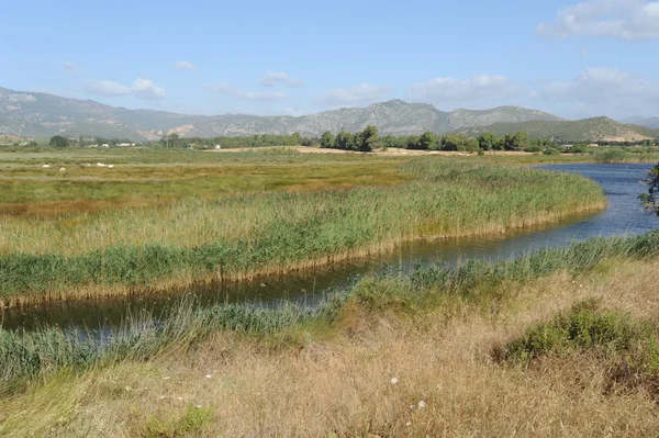 Río cerca de La Caletta en la isla de Cerdeña, Italia —  Fotos de Stock