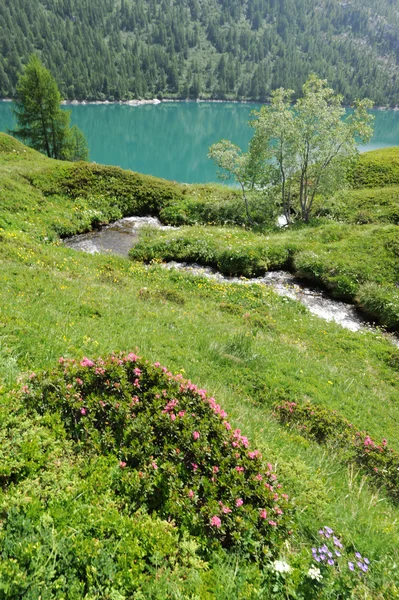 Majestic mountain lake in Swiss alps — 图库照片