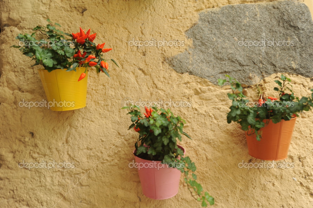 Blumentöpfe an der Wand — Stockfoto © Fotoember #32007835 Blumentöpfe an der Wand — Stockfoto © Fotoember #32007835