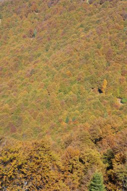 İsviçre Alpleri üzerinde Colla Vadisi