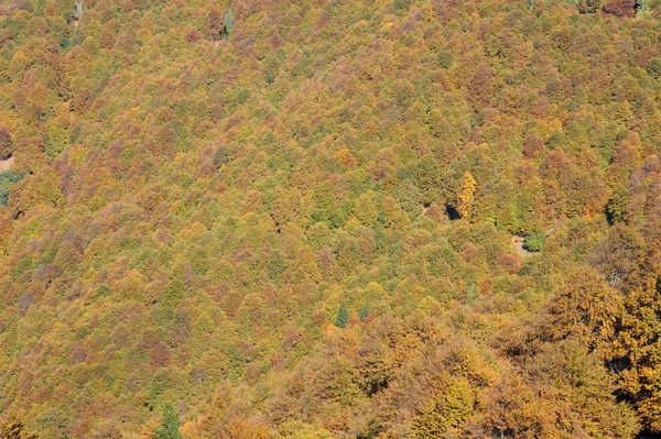 Colla údolí švýcarských Alp — Stock fotografie