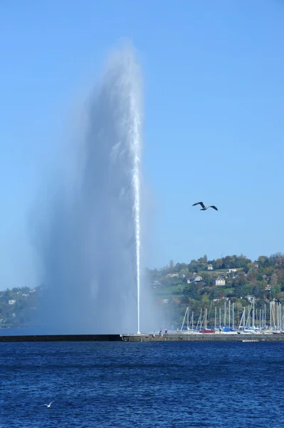 Εκτόξευση νερού της λίμνης leman στη Γενεύη στην Ελβετία — Φωτογραφία Αρχείου