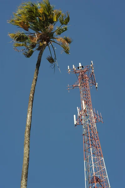 Palmera y antena de comunicación —  Fotos de Stock